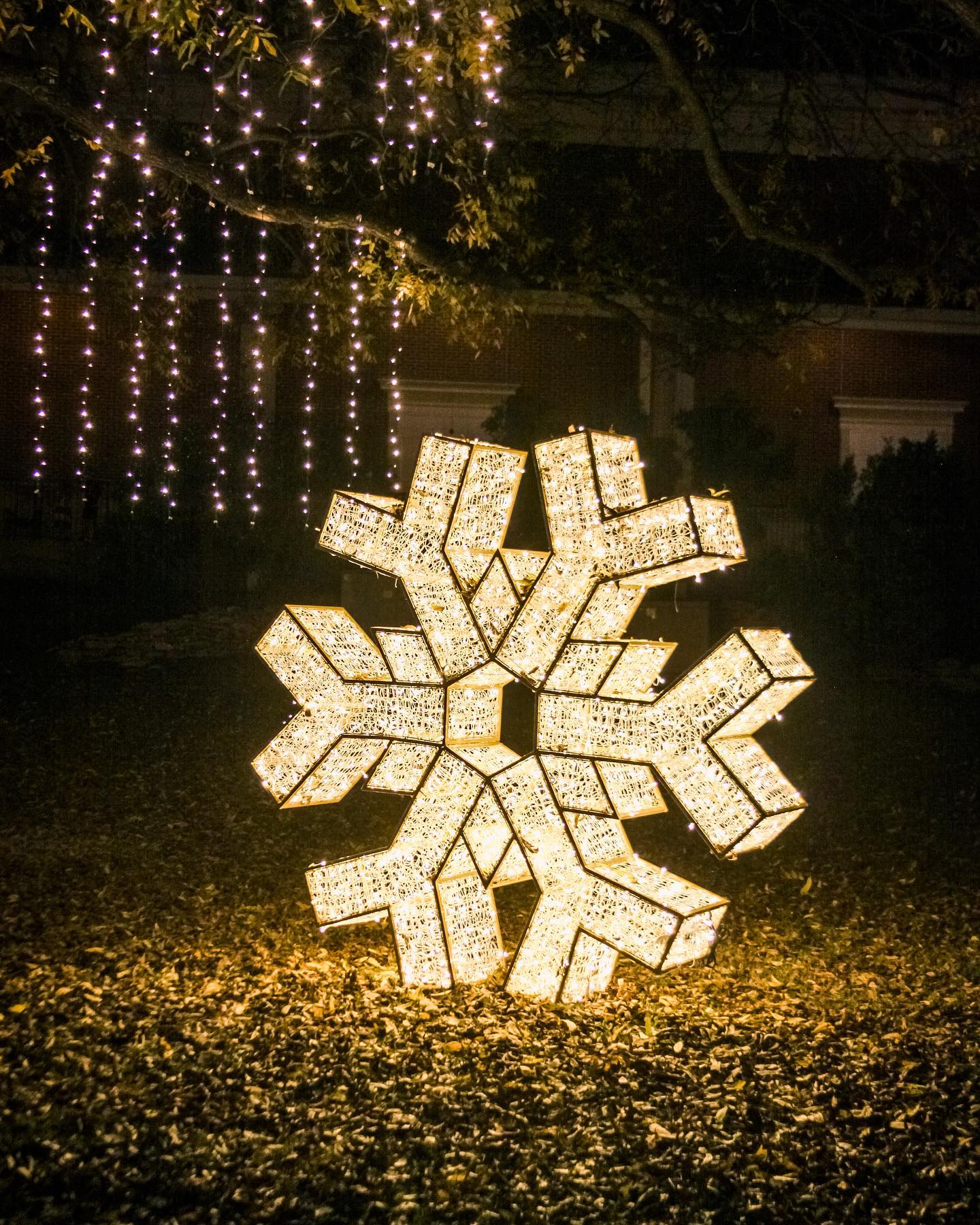 Christmas Lights - Snowflake in the Snow