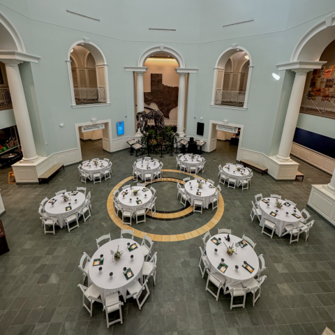 rotunda 2